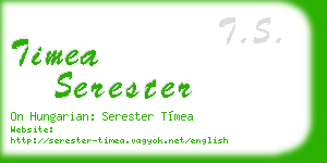timea serester business card