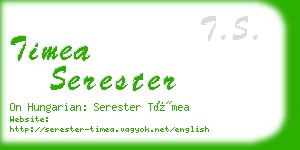 timea serester business card